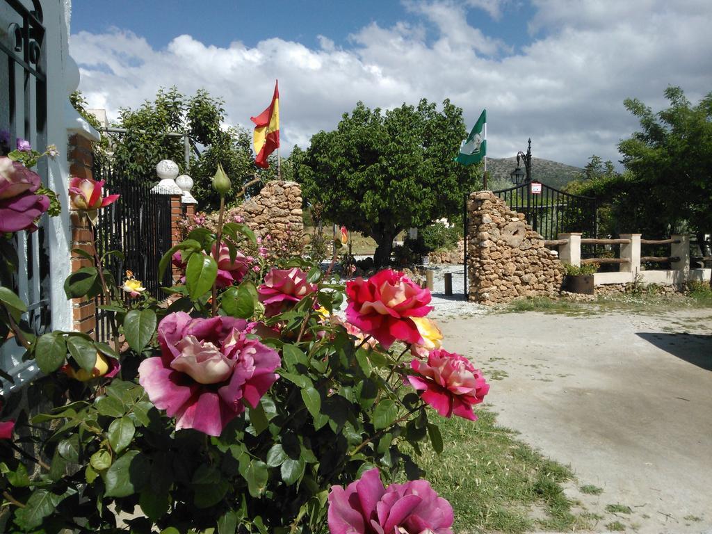 Cortijo Los Soledad El Sauco Exterior foto